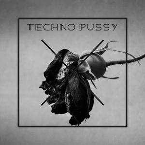 TECHNO PUSSY