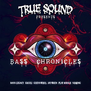 Bass Chronicles (Explicit)