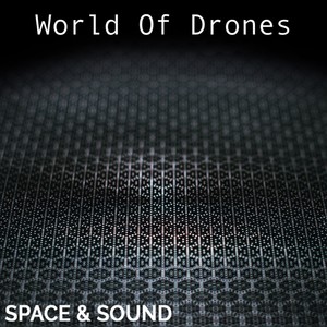 World of Drones