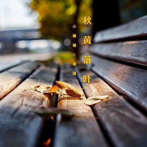 小锦锦 - 秋黄落叶 (伴奏)
