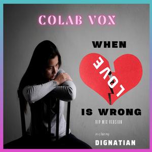 When Love is Wrong (VIP Mix)