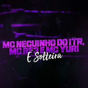 É Solteira