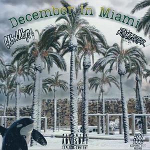 December in Miami (feat. Ray Portier) [Explicit]