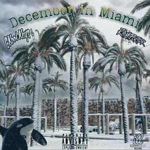 December in Miami(feat. Ray Portier) (Explicit)