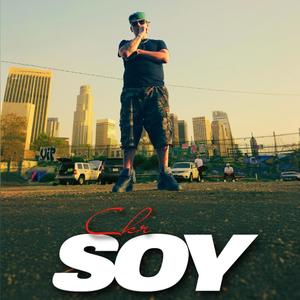 SOY (Explicit)