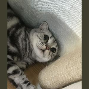 2019～予你成歌