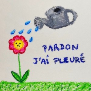 Pardon j'ai pleuré