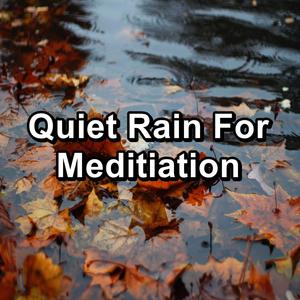 Medium Rain with Alpha Waves To Help You Sleep