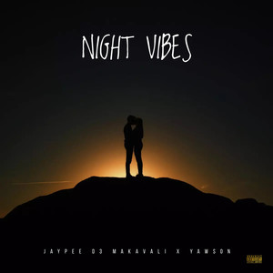 Night Vibes (Explicit)