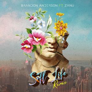 Soft Life (feat. Zanu) (Remix|Explicit)