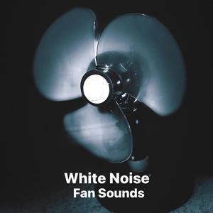 White Noise Fan Sounds