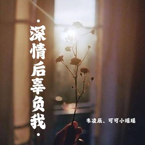 深情后辜负我