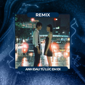 Anh Đau Từ Lúc Em Đi (Remix)