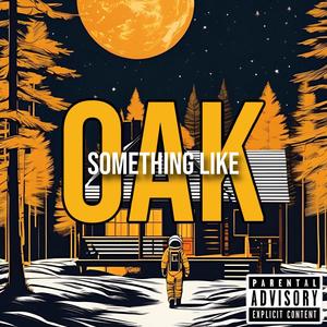 SOMETHING LIKE OAK (Explicit)