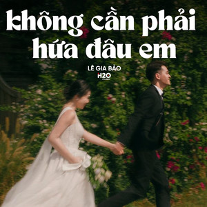 Không Cần Phải Hứa Đâu Em (Lofi)