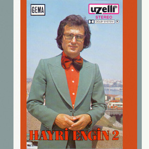 Hayri Engin 2