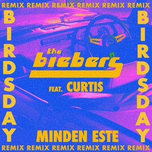 Minden este (Birdsday Remix)