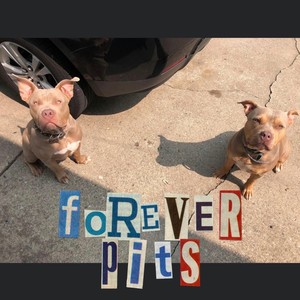 Forever Pits (feat. 223 Gene) [Explicit]