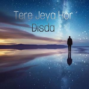 Tere Jeya Hor Disda (feat. Anmol Raj Wardhan & Aritra Roy Chowdhury)