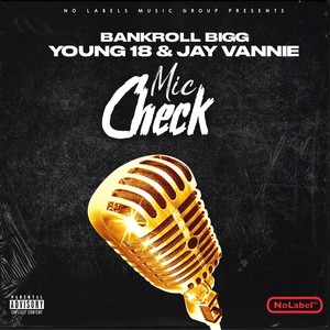 Mic Check (feat. Jay Vannie & Young 18) [Explicit]