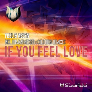 If You Feel Love (Radio Edit)