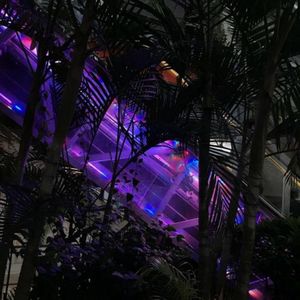 Everywhere I Go (Slowed|Explicit)