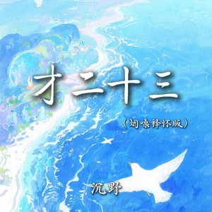 才二十三 (烟嗓释怀版)