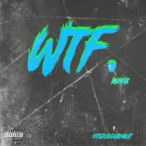 WTF Remix (Explicit)