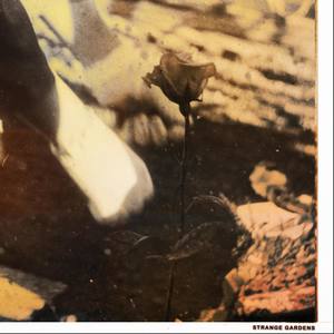Our Love(feat. Tulasi Rain)