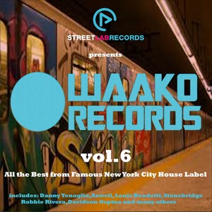 Streetlab presents The Best of Waako Records, Vol. 6