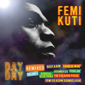 Femi Kuti - Do You Know (Raul Campo's Fresh Produce Remix)