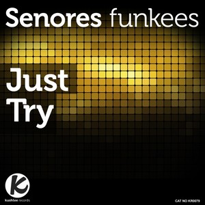 Senores Funkees - Just Try (Stanny Abram Space Funk Remix)