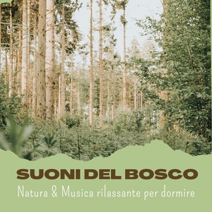 Suoni del bosco - CD Natura & Musica rilassante per dormire