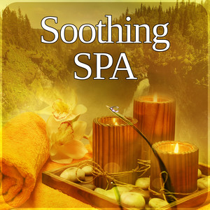 Soothing SPA – Background Music for Massage Therapy, Healthy Lifestyle, Healing Touch, Relaxation, Nature Sounds for Relax