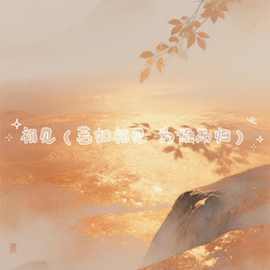 初见(若如初见 为谁而归)