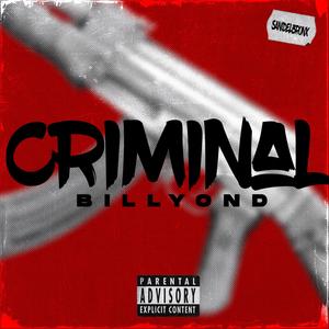 Criminal Flow