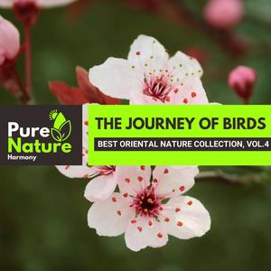 The Journey of Birds - Best Oriental Nature Collection, Vol.4