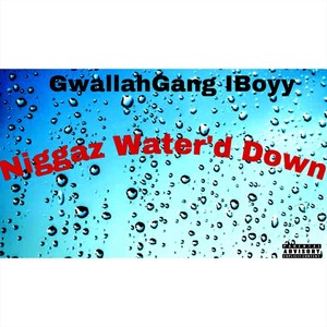 Niggaz Water'd Down (Explicit)