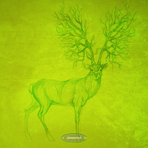 Tension Fields (Dan Rubell Remix)