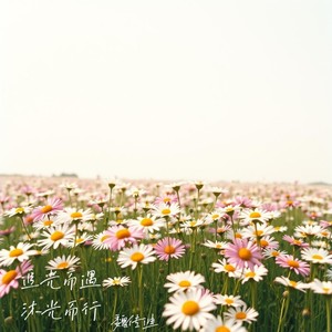 愿你追光而遇沐光而行