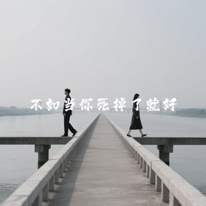 不如当你死掉了就好
