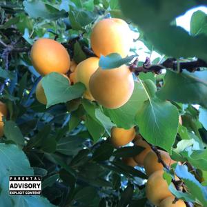 Bebe (feat. Gnnr) (Explicit)