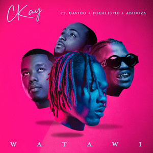 WATAWI (feat. Davido, Focalistic & Abidoza) (Edit)