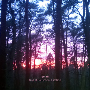 Bird at Rauschen-1 Station