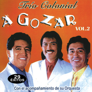 Música de Ecuador: A Gozar 29 Exitos 2