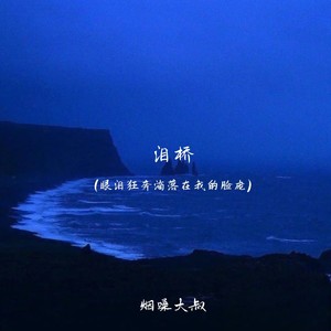 泪桥(眼泪狂奔滴落在我的脸庞)