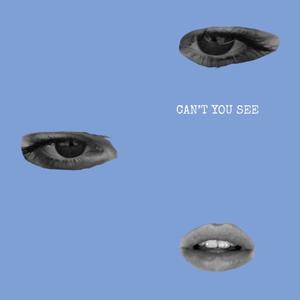 Can't You See