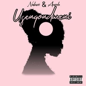 Usenqondweni (feat. Anerh) (Explicit)