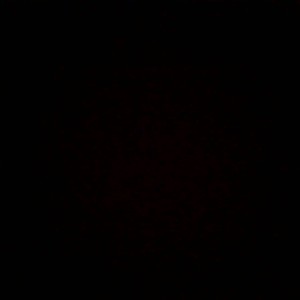 On The Rise (Explicit)