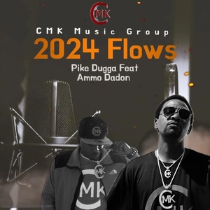 2024 Flows (Explicit)